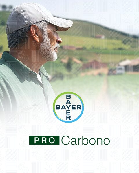 Bayer PRO Carbono - Portfolio de marcas