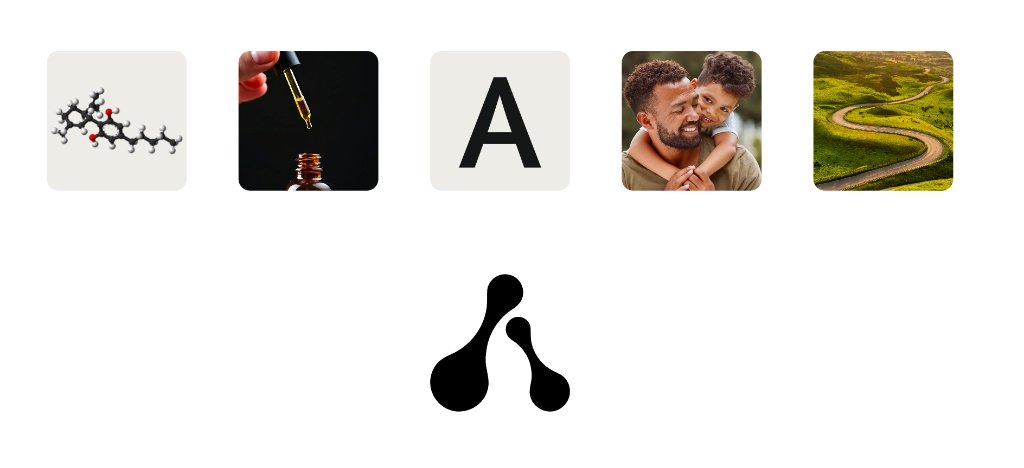 6cea2faf c75e 4846 b9a8 3a16eeee7187 Brand DNA