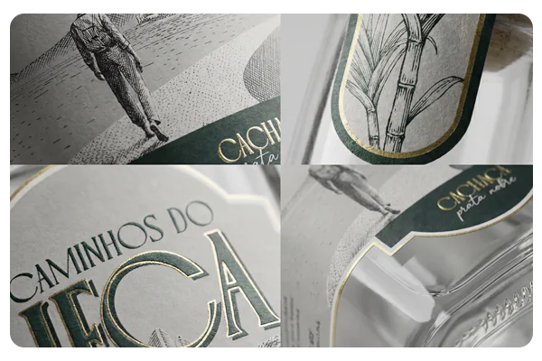 Branding LP Identidade Visual